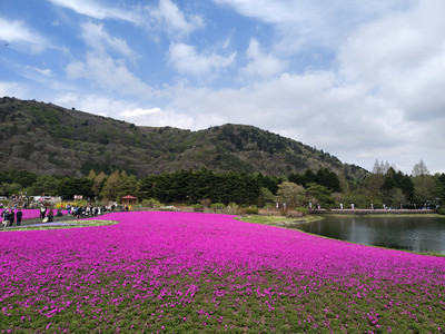 IMG_20260425_131336653_HDR.jpg