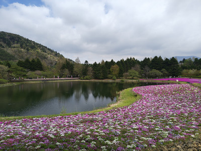 IMG_20260425_131458721_HDR.jpg