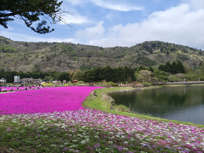 IMG_20260425_131503349_HDR.jpg