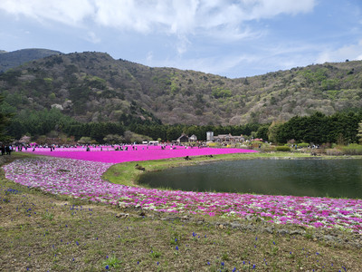 IMG_20260425_131831315_HDR.jpg