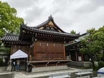 IMG_20260427_152512595_HDR.jpg