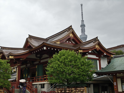 IMG_20260427_152558599_HDR.jpg