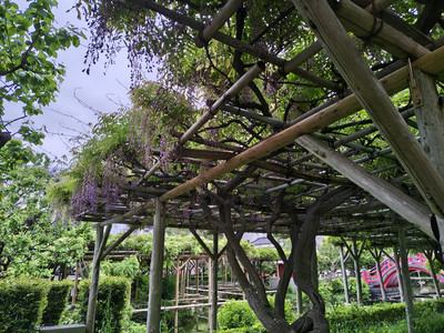 IMG_20260427_152635432_HDR.jpg