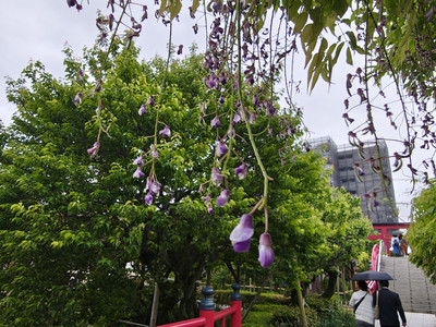 IMG_20260427_153053769_HDR.jpg