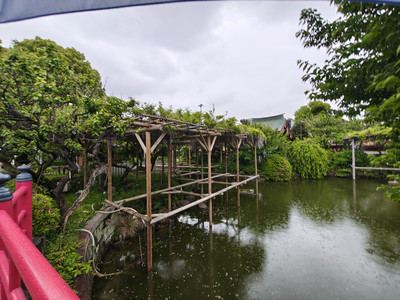 IMG_20260427_153116249_HDR.jpg
