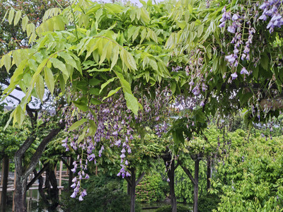 IMG_20260427_153208734_HDR.jpg