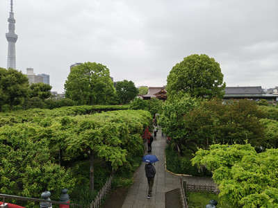 IMG_20260427_153241148_HDR.jpg