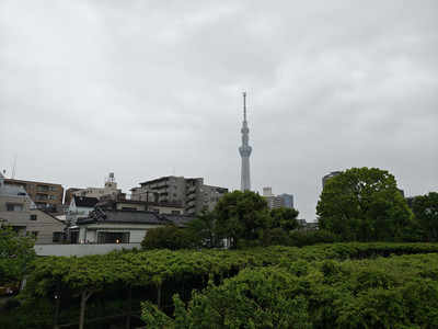 IMG_20260427_153244002_HDR.jpg