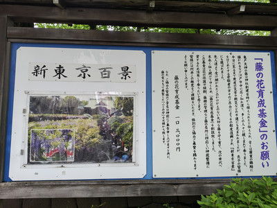 IMG_20260427_153434742_HDR.jpg