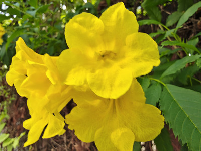 IMG_20260523_144917561_HDR.jpg