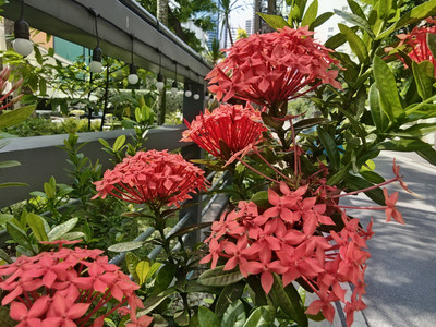 IMG_20260523_145753465_HDR~2.jpg
