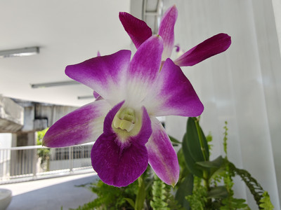 IMG_20260524_124737652_HDR.jpg