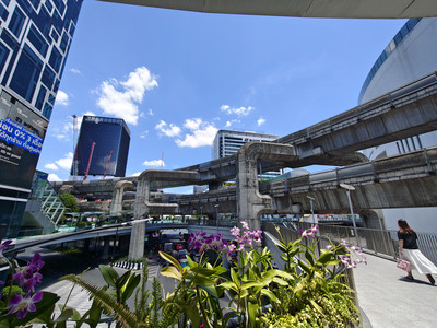 IMG_20260525_123733656_HDR.jpg